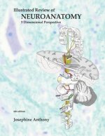 Illustrated Review of Neuroanatomy: 3 Dimensional Perspective