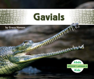 Gavials