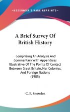 A Brief Survey Of British History: Comprising An Analysis And Commentary With Appendices Illustrative Of The Points Of Contact Between Great Britain,