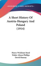 A Short History Of Austria-Hungary And Poland (1914)