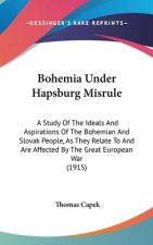 Bohemia Under Hapsburg Misrule: A Study Of The Ideals And Aspirations Of The Bohemian And Slovak People, As They Relate To And Are Affected By The Gre