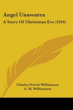 Angel Unawares: A Story Of Christmas Eve (1916)