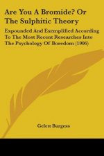 Are You A Bromide? Or The Sulphitic Theory: Expounded And Exemplified According To The Most Recent Researches Into The Psychology Of Boredom (1906)