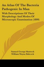 An Atlas Of The Bacteria Pathogenic In Man: With Descriptions Of Their Morphology And Modes Of Microscopic Examination (1899)