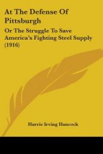 At The Defense Of Pittsburgh: Or The Struggle To Save America's Fighting Steel Supply (1916)