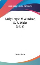 Early Days Of Windsor, N. S. Wales (1916)