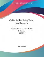 Celtic Fables, Fairy Tales, And Legends: Chiefly From Ancient Welsh Originals (1862)
