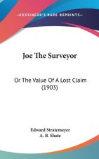Joe The Surveyor: Or The Value Of A Lost Claim (1903)