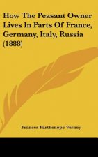 How The Peasant Owner Lives In Parts Of France, Germany, Italy, Russia (1888)