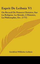 Esprit De Leibniz V1: Ou Recueil De Pensees Choisies, Sur La Religion, La Morale, L'Histoire, La Philosophie, Etc. (1772)
