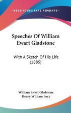 Speeches Of William Ewart Gladstone: With A Sketch Of His Life (1885)