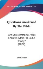 Questions Awakened By The Bible: Are Souls Immortal? Was Christ In Adam? Is God A Trinity? (1877)