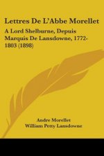 Lettres De L'Abbe Morellet: A Lord Shelburne, Depuis Marquis De Lansdowne, 1772-1803 (1898)