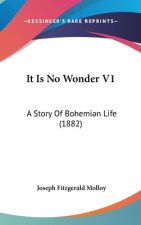It Is No Wonder V1: A Story Of Bohemian Life (1882)