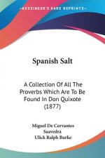 Spanish Salt: A Collection Of All The Proverbs Which Are To Be Found In Don Quixote (1877)