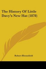 The History Of Little Davy's New Hat (1878)