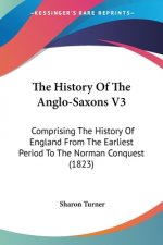 The History Of The Anglo-Saxons V3: Comprising The History Of England From The Earliest Period To The Norman Conquest (1823)