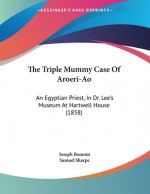 The Triple Mummy Case Of Aroeri-Ao: An Egyptian Priest, In Dr. Lee's Museum At Hartwell House (1858)