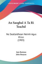 An Saoghal a Ta Ri Teachd: No Seallaidhean Neimh Agus Ifrinn (1903)