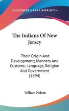 The Indians Of New Jersey: Their Origin And Development; Manners And Customs; Language, Religion And Government (1894)