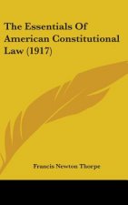 The Essentials of American Constitutional Law (1917)