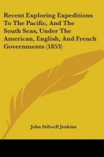 Recent Exploring Expeditions To The Pacific, And The South Seas, Under The American, English, And French Governments (1853)