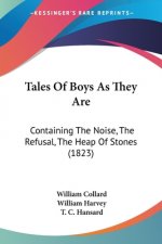 Tales Of Boys As They Are: Containing The Noise, The Refusal, The Heap Of Stones (1823)