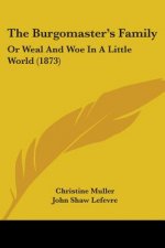 The Burgomaster's Family: Or Weal And Woe In A Little World (1873)