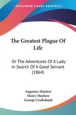 The Greatest Plague Of Life: Or The Adventures Of A Lady In Search Of A Good Servant (1864)