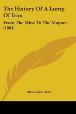 The History Of A Lump Of Iron: From The Mine To The Magnet (1884)