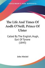 The Life And Times Of Aodh O'Neill, Prince Of Ulster: Called By The English, Hugh, Earl Of Tyrone (1845)
