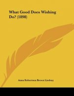 What Good Does Wishing Do? (1898)