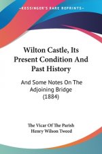 Wilton Castle, Its Present Condition And Past History: And Some Notes On The Adjoining Bridge (1884)