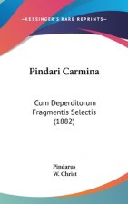 Pindari Carmina: Cum Deperditorum Fragmentis Selectis (1882)