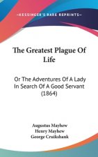 The Greatest Plague Of Life: Or The Adventures Of A Lady In Search Of A Good Servant (1864)
