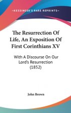 The Resurrection of Life, an Exposition of First Corinthians XV: With a Discourse on Our Lord's Resurrection (1852)