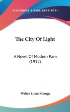 The City of Light: A Novel of Modern Paris (1912)