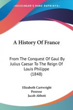 A History Of France: From The Conquest Of Gaul By Julius Caesar To The Reign Of Louis Philippe (1848)