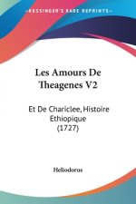 Les Amours De Theagenes V2: Et De Chariclee, Histoire Ethiopique (1727)