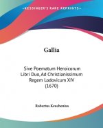 Gallia: Sive Poematum Heroicorum Libri Duo, Ad Christianissimum Regem Lodovicum XIV (1670)