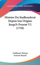 Histoire Du Stadhouderat Depuis Son Origine Jusqu'apresent V2 (1750)