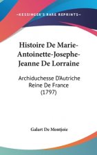 Histoire de Marie-Antoinette-Josephe-Jeanne de Lorraine: Archiduchesse d'Autriche Reine de France (1797)