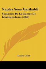 Naples Sous Garibaldi: Souvenirs De La Guerre De L'Independance (1861)