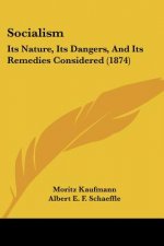 Socialism: Its Nature, Its Dangers, And Its Remedies Considered (1874)