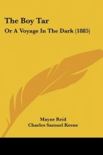 The Boy Tar: Or A Voyage In The Dark (1885)