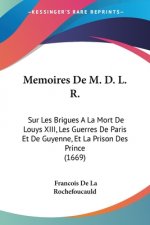 Memoires De M. D. L. R.: Sur Les Brigues A La Mort De Louys XIII, Les Guerres De Paris Et De Guyenne, Et La Prison Des Prince (1669)