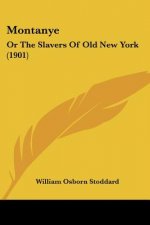 Montanye: Or The Slavers Of Old New York (1901)
