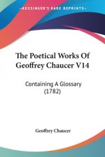 The Poetical Works Of Geoffrey Chaucer V14: Containing A Glossary (1782)