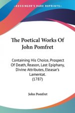The Poetical Works Of John Pomfret: Containing His Choice, Prospect Of Death, Reason, Last Epiphany, Divine Attributes, Eleasar's Lamentat. (1787)