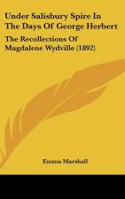 Under Salisbury Spire in the Days of George Herbert: The Recollections of Magdalene Wydville (1892)
